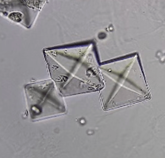 Oxalato